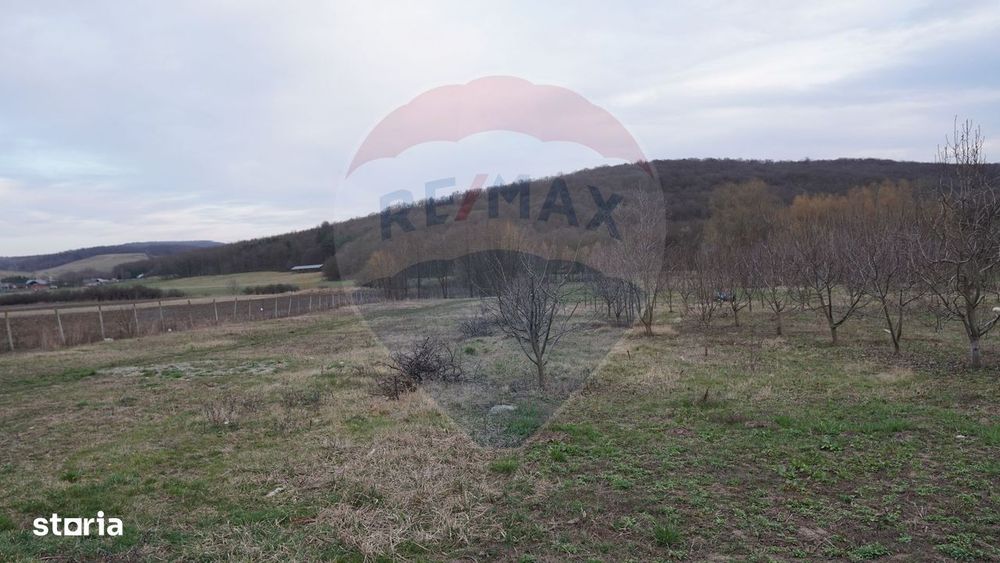 Teren de vanzare 517mp, sat Zapodia, com. Traian, jud Bacau