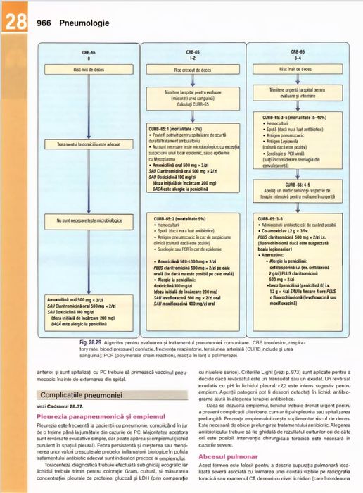 Meditatii Pregatire pentru Examenul de Rezidentiat 2026