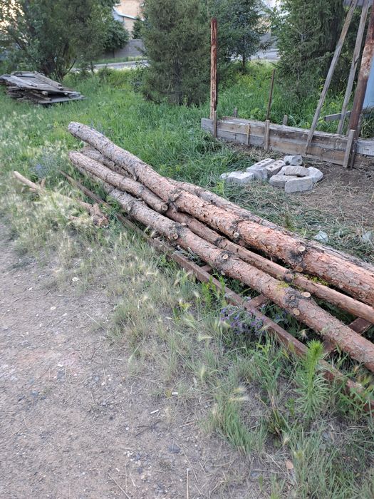 Дрова для шашлыков продам за 30 000 (тридцать тысяча тенге)  5 штук