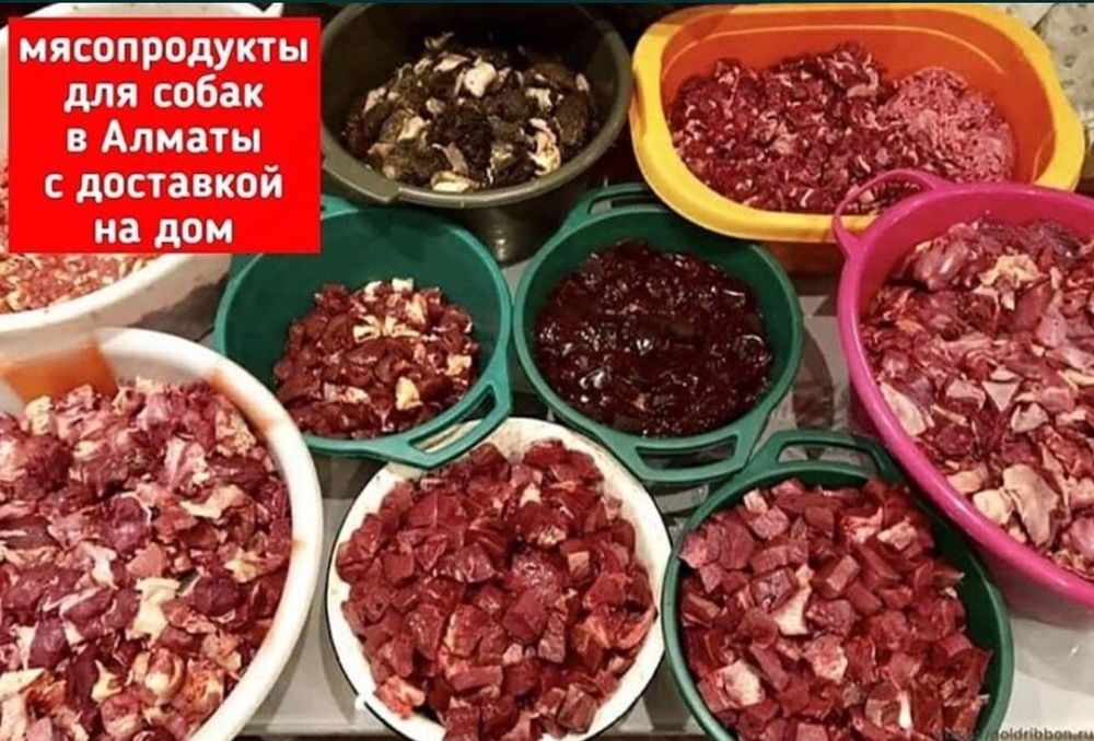 Корм мясо для собак в ассортименте в Алматы