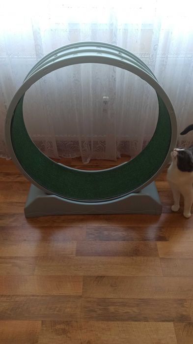 Roata alergare Pisica - Cat Wheel