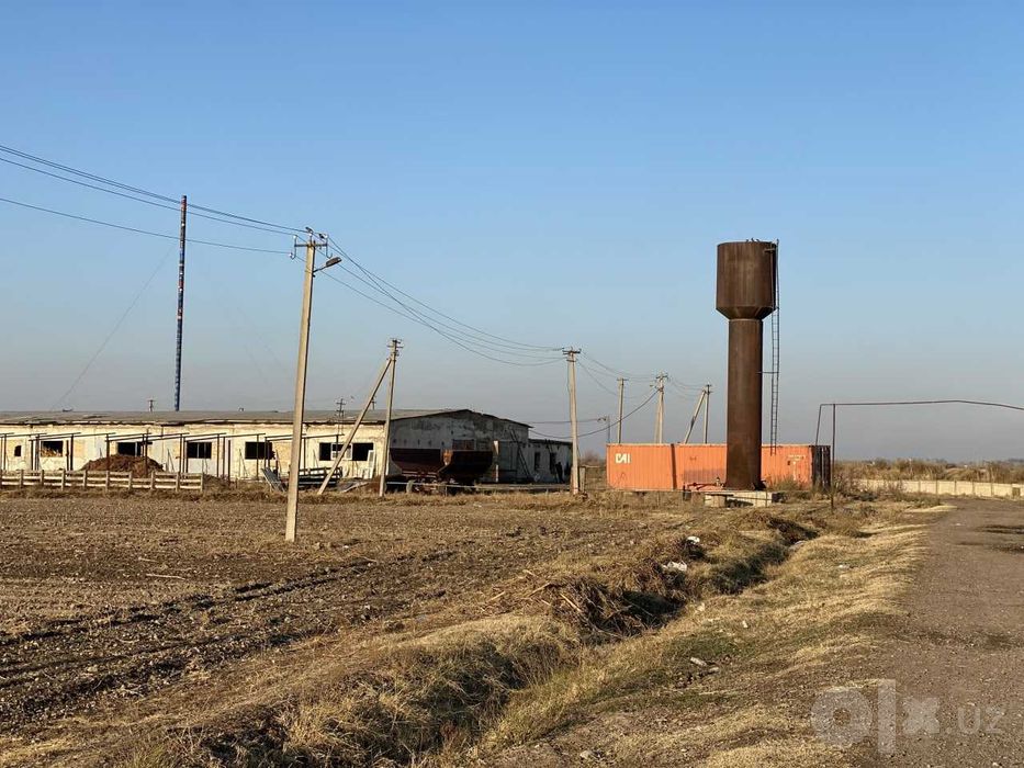 Ферса Куйчирчикский район 25 Га под пастбища 10 Га 10 домиков