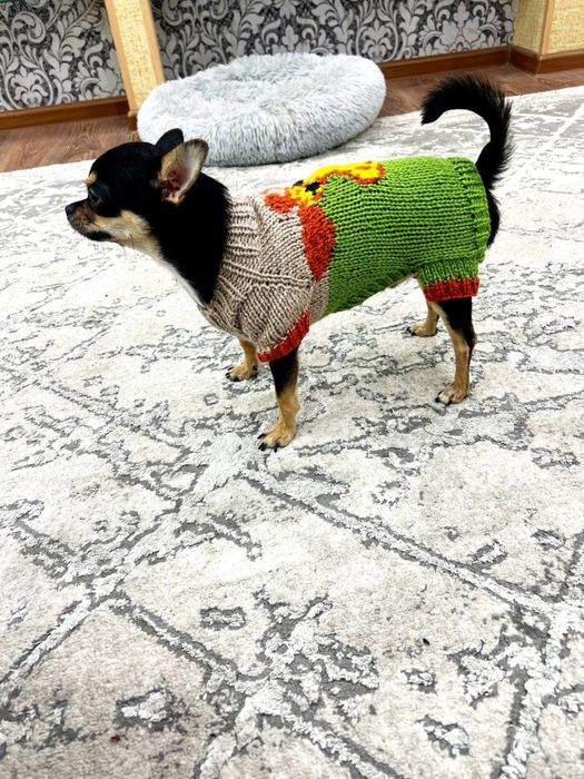 Вязаная одежда для кошек и собак