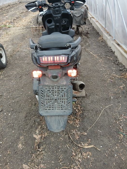 Танк скутер зверь.