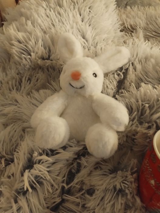 Vand cana de Craciun cu jucarie noi -cadou