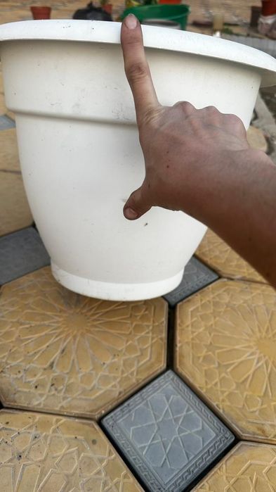 Продам или Обмен на цветы