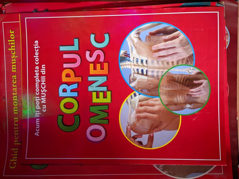 corpul uman schelet +set reviste integral