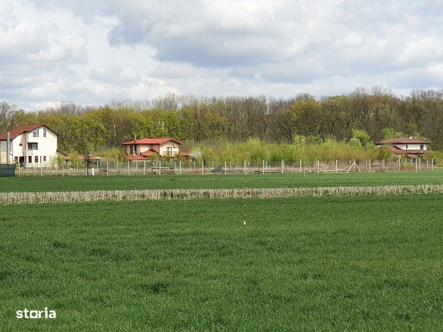 Teren Balotesti, vecinatate padure Sri,19500 euro