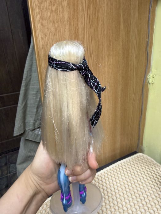 Продам  кукол монстр  хай!