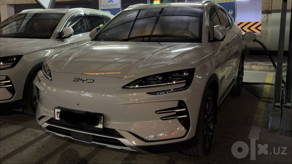 BYD champion honor