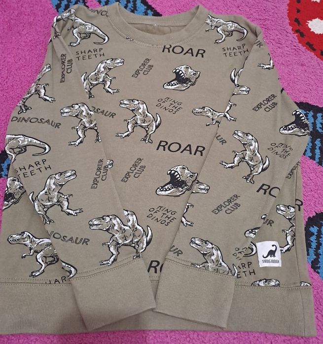 Lot copii bluze dinozauri