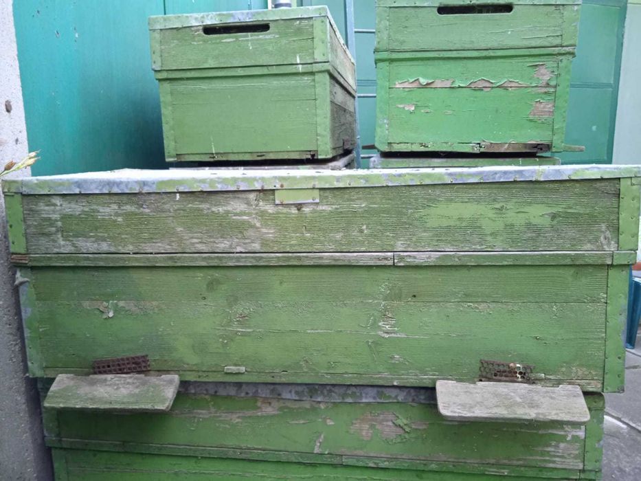 Vand lazi pentru trei familii de albine