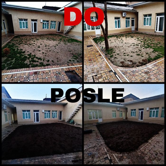 Gazon Archa Gullar Landshaft Dizayn