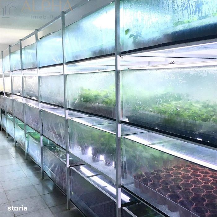 Afacere La Cheie – Hala Productie + Sera Profesionala