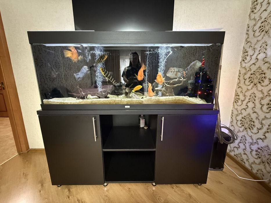 Продам Аквариум JUWEL 450 литров