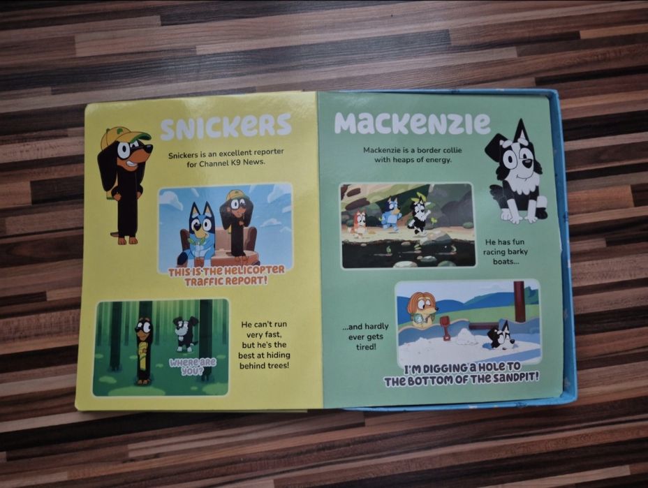 Carte Bluey fara figurine