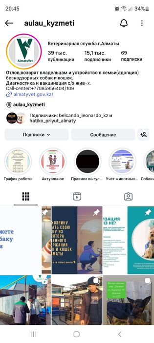 Потерянные и найденые животные!