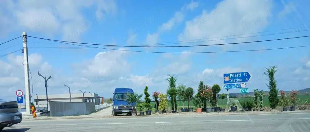 Vand Schimb Teren Intravilan Slatina/Salcia