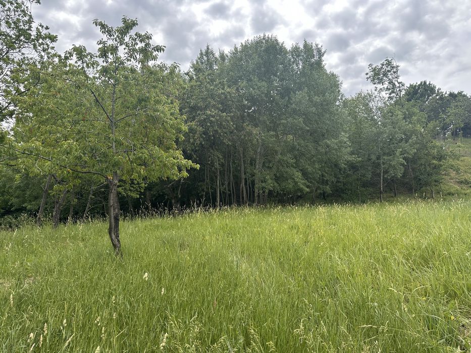 teren cu utilitati panoramic