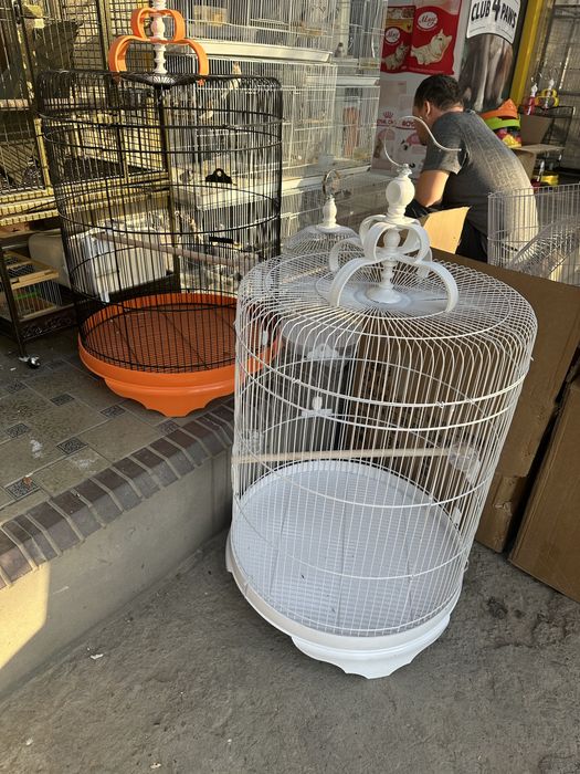 qafas kletka mayda turdagi qushlar ucun