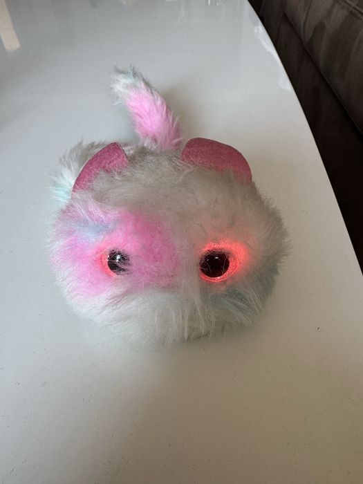 Интерактивно коте