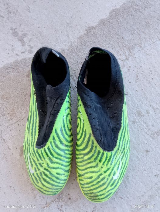 Сараканошки зилоние