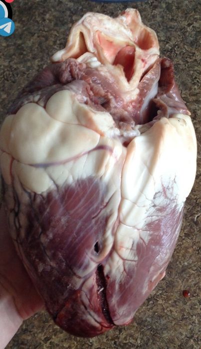 Говяжье сердце есть наличие