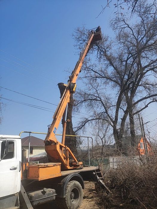 Спил. Пилим деревя