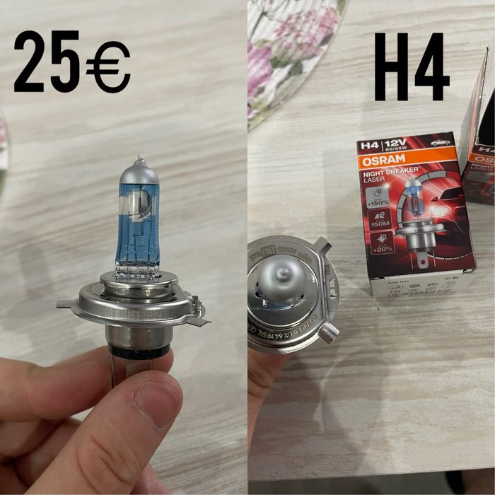 Крушки рязлични видове