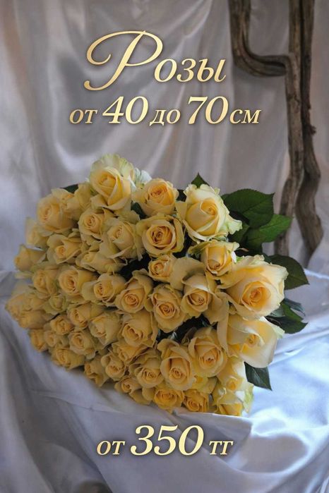 Розы и спрей розы от 400 тг