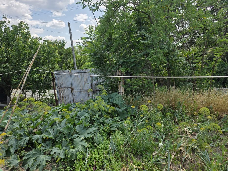 Vand teren intravilan, sat Badosi - 1800m2