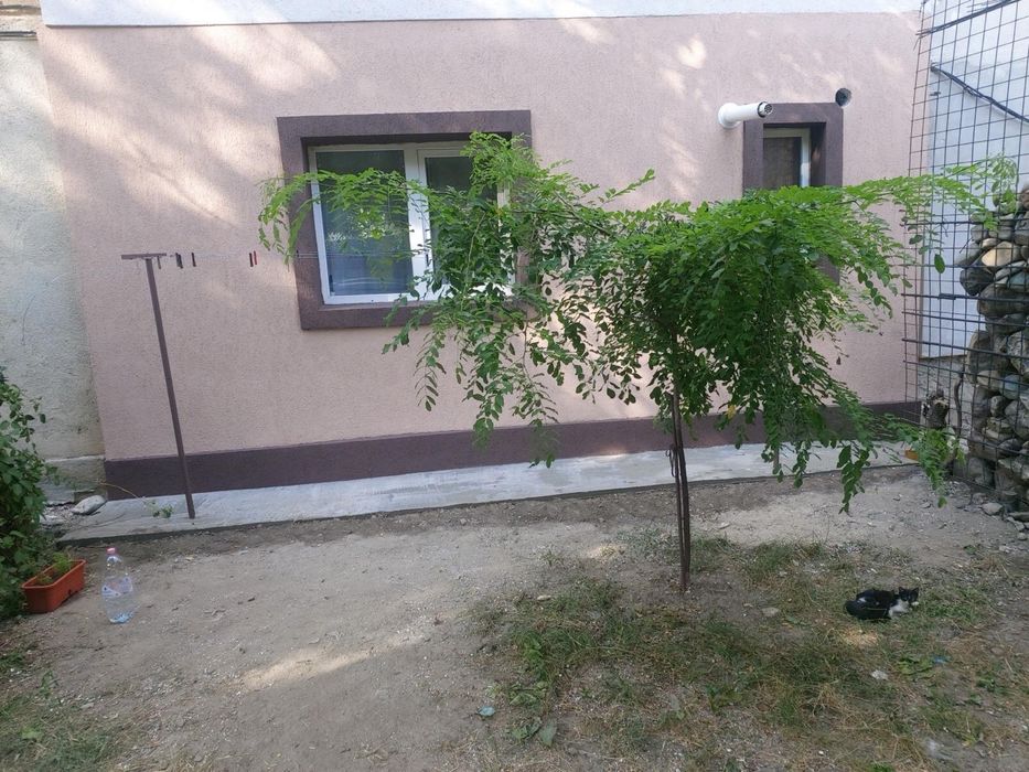 Vand garsoniera parter