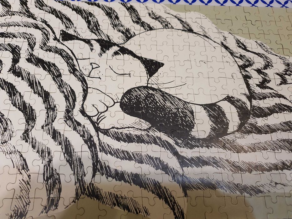 Puzzle 250 piese fata - verso Heye