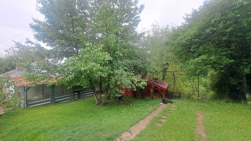 Casa moderna, cu foisor, anexe, gratar, renovata integral, 3000 mp curte livada
