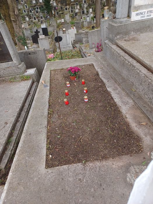Loc de veci în cimitirul central Cluj Napoca
