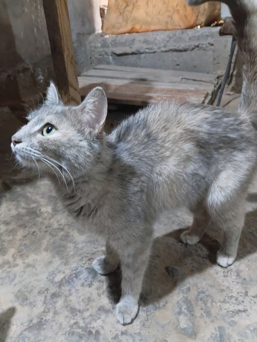 Хадияга онаси ва болалари