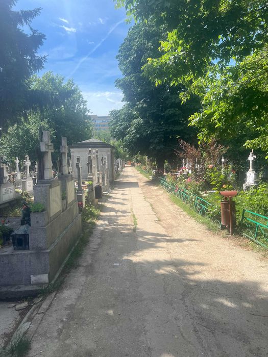 Vand urgent loc de veci in cimitirul Iancu Nou