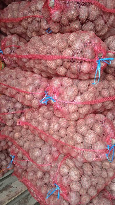 Cartofi consum roșu și alb