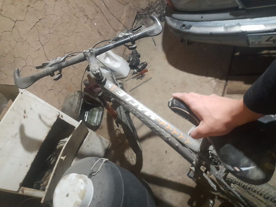 Велик Macle Шымкент