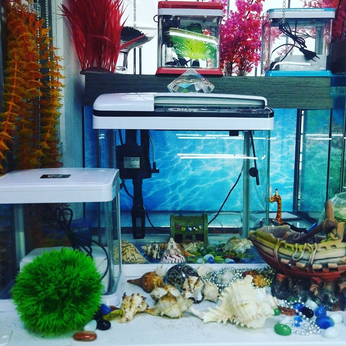 Корм для рыб в Афалине.Аль Фараби,Навои