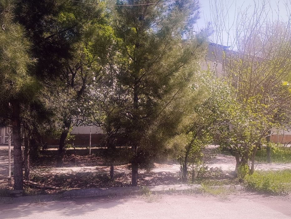 Завод Коттеджи  сотилади. Ибн Сино 21