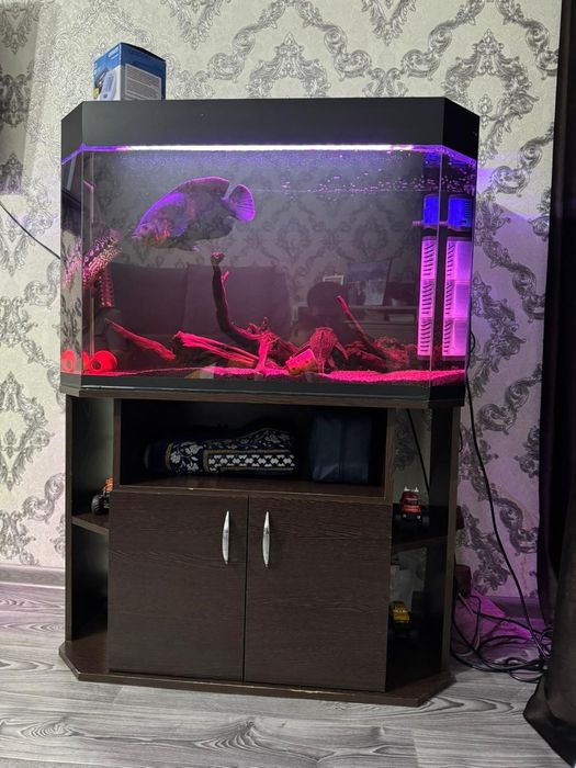 Аквариум 150-180литров