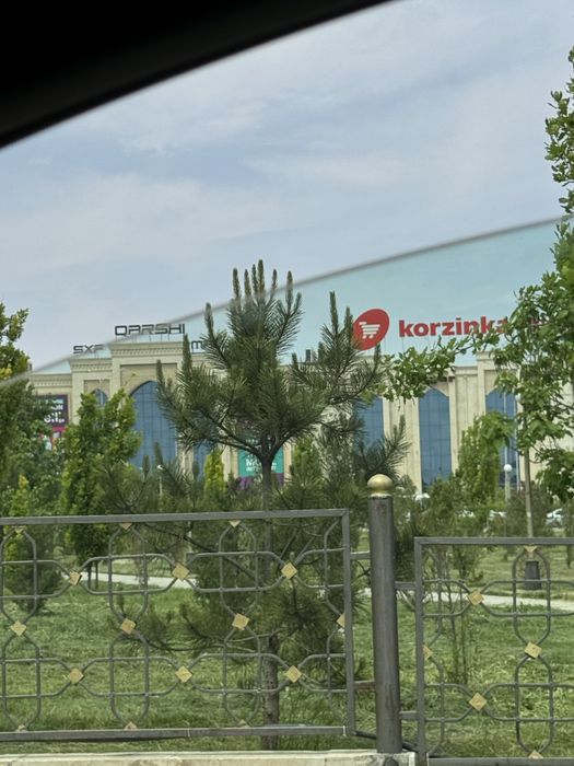 Srochna Karzinka ro’parasidan 6 sotix uchaska sotiladi