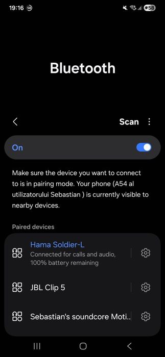 Boxă Portabilă Hama Soldier L 20W Rezistentă la apă