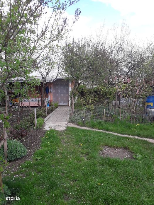 Vând grădină în Târgu Frumos
