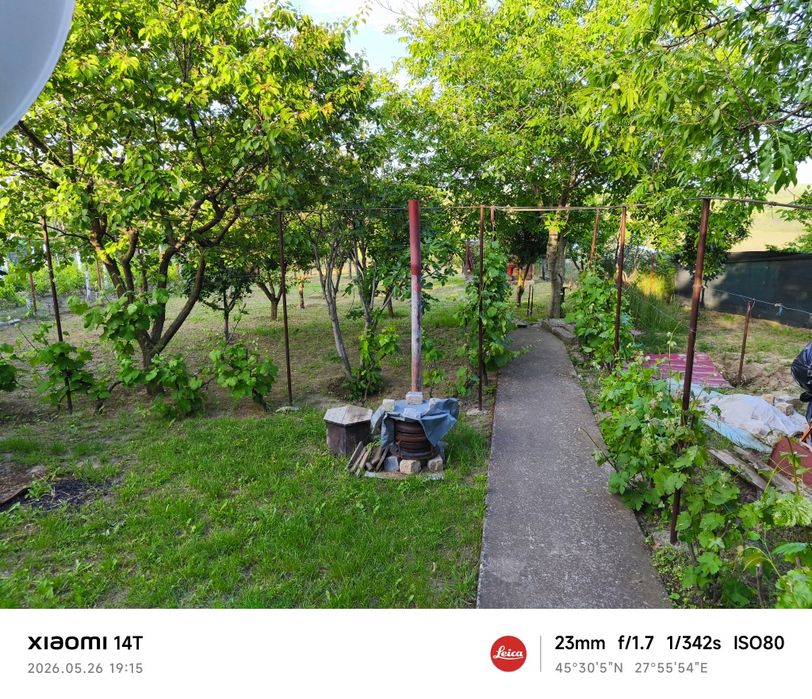 Teren de vânzare 1000  m², intravilan ,la stradă asfaltată cu căsuță de vacanță, în Mihail Kogălniceanu , com. Smârdan