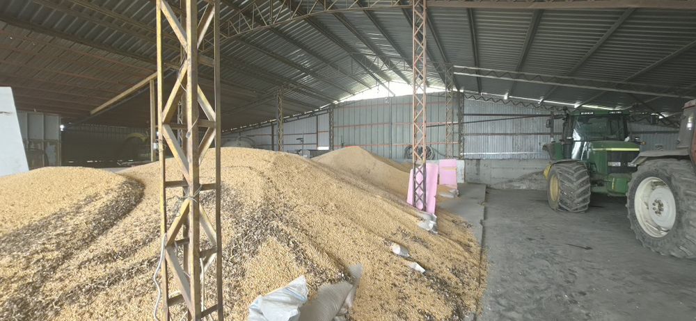 Graunte de vanzare uscate 1 lei la hală 1.2 lei adus acasa in saci