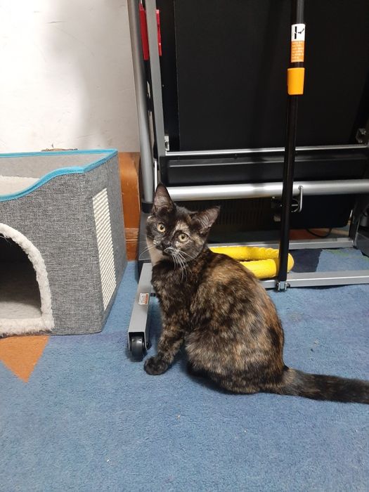 Девочка в заботливые руки