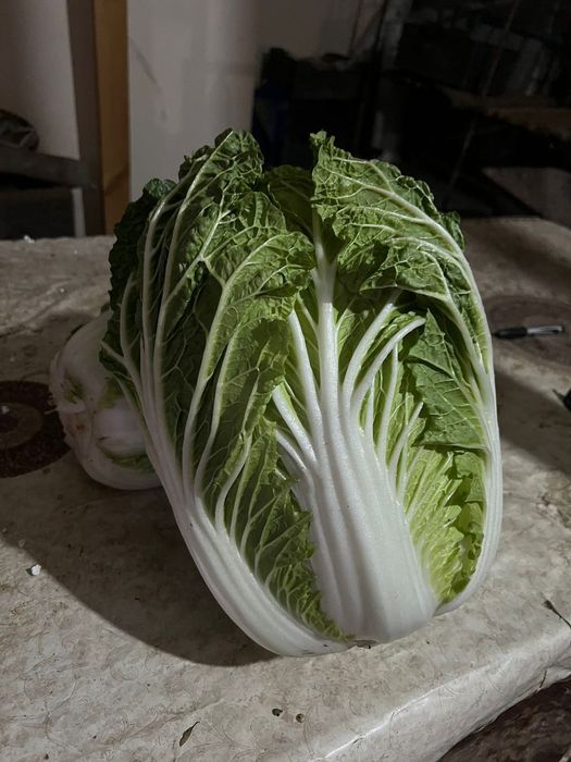 Пекински капуста свежи