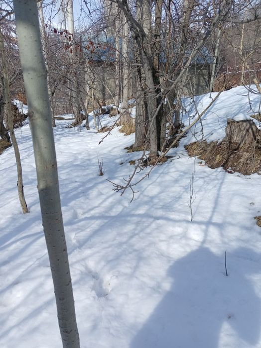 Bustonliq tumani sijjak qishlog'i yer sotiladi